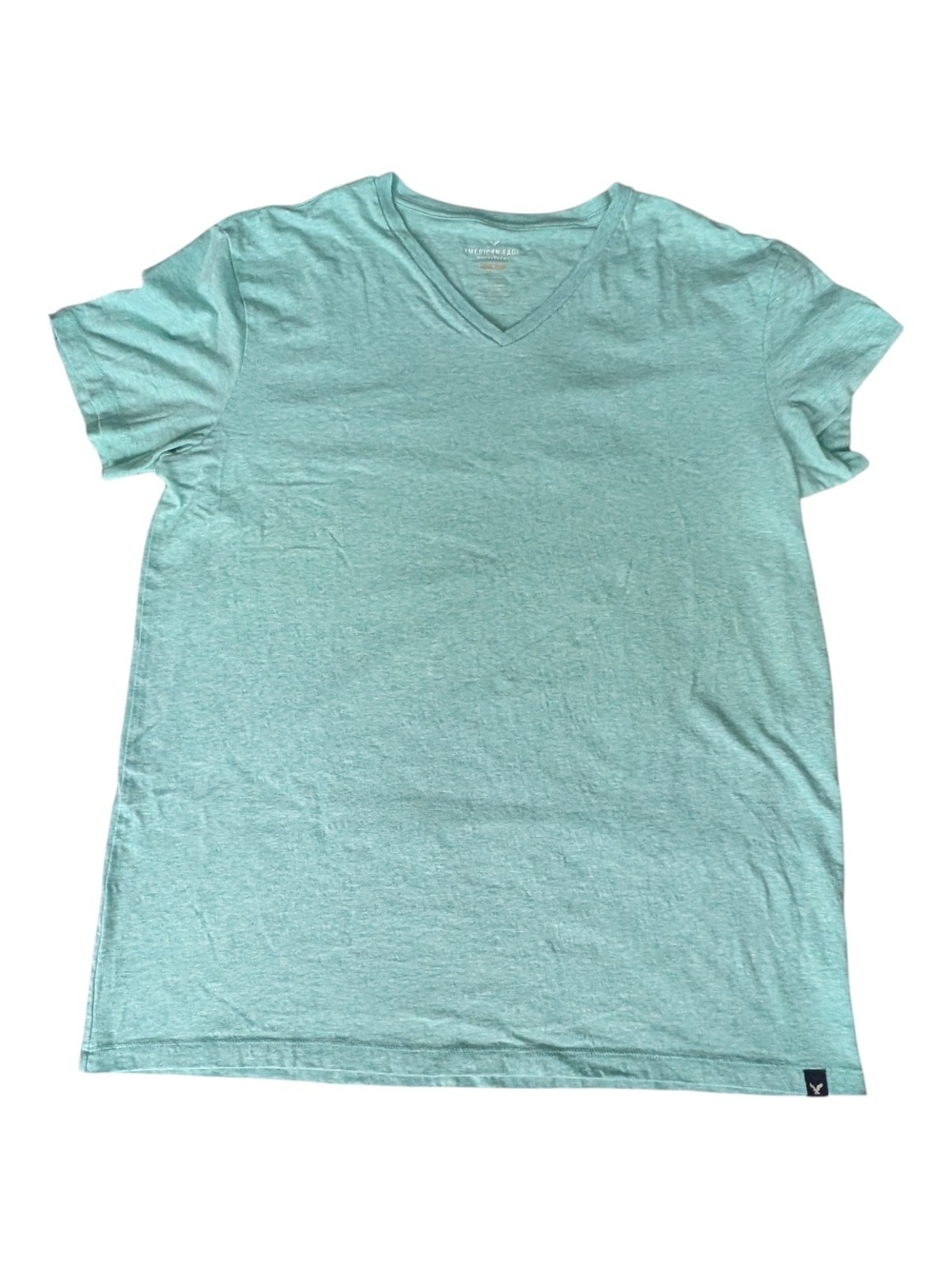 American Eagle Outfitters Core Flex Men's L Mint V-Neck T-Shirt Classic Fit